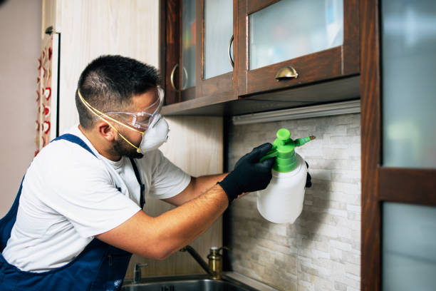 Pest Prevention Services in Shelburn, IN