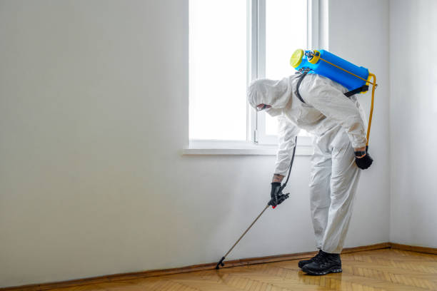 Professional Pest Control in Shelburn, IN