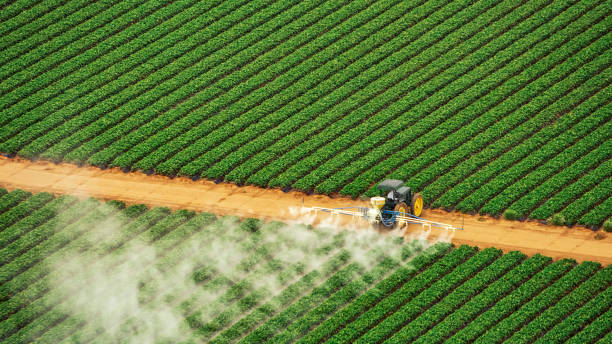 Best Pest Control for Businesses  in Shelburn, IN
