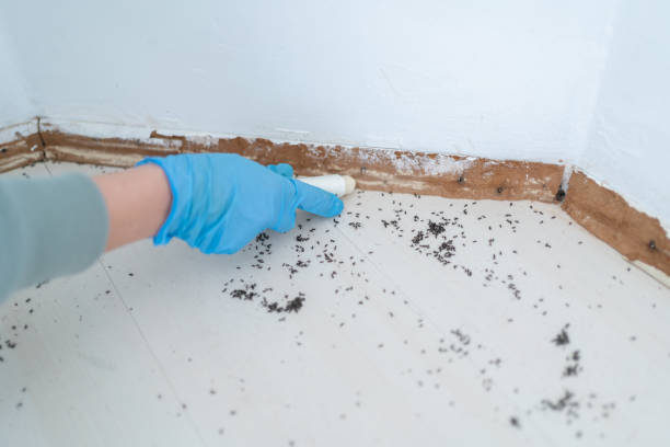 Best Pest Control for Businesses  in Shelburn, IN