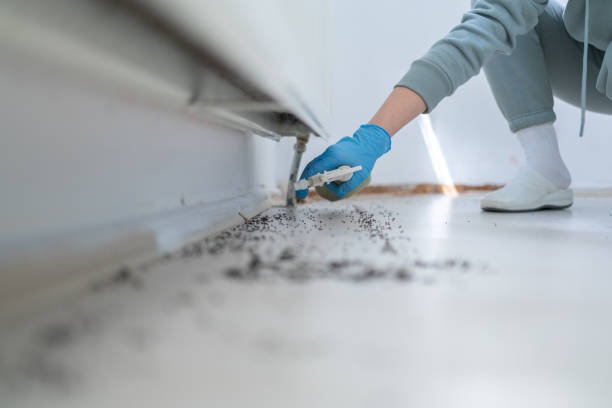 Best Pest Control Near Me  in Shelburn, IN